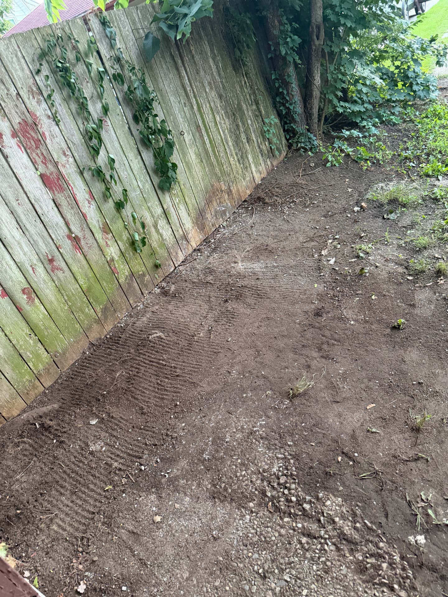 Yard & Debris Cleanup after, Grand Rapids, MI