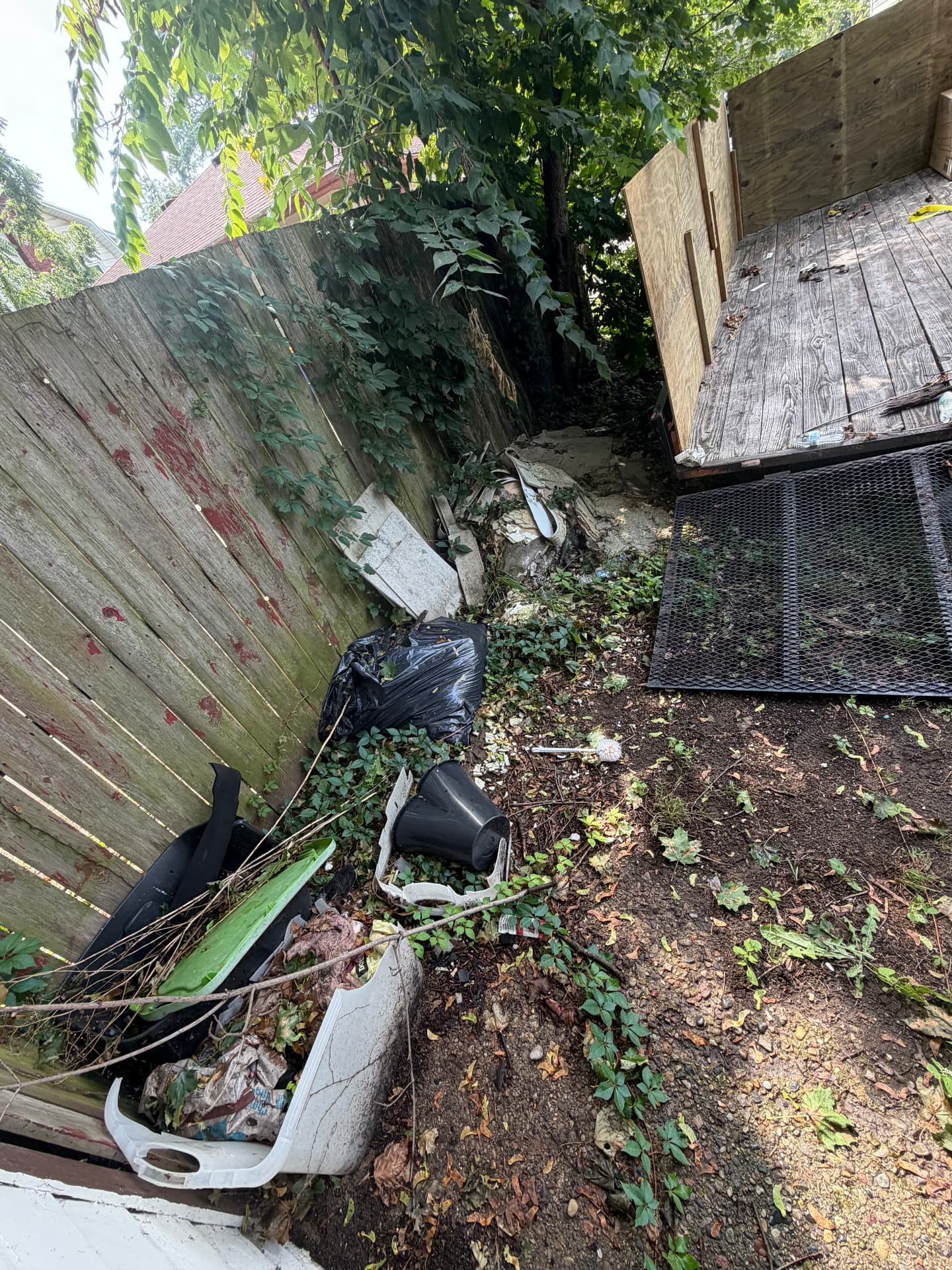 Yard & Debris Cleanup before, Grand Rapids, MI